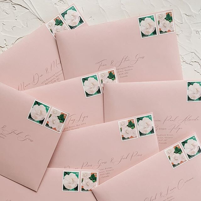 Who said you can&rsquo;t have fun with postage? ⠀
⠀
These Gardenia stamps that @canadapostgram came out with last year work perfectly with this soft rose envelopes. ⠀
⠀
Aside from the floral stamps that come out every year, we can also do custom! Think monograms, fun elements from your invites, or even your pet ⠀
⠀
The possibilities are endless! 💌 ⠀
⠀
⠀
#weddinginvitation #weddingstationery #invitation #stationery #weddinginvite #stationerysuite #calligraphy #handlettering #typography #weddingstationary #monarchdesignco #tayneandashley #torontowedding #niagarawedding #nomoreboringenvelopes #envelopeaddressing