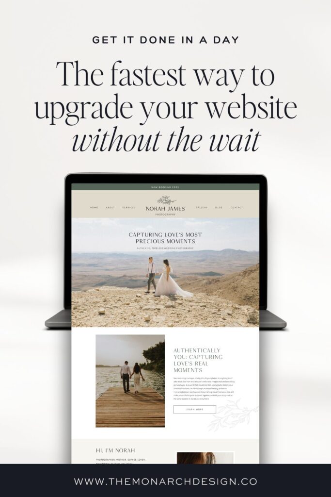 VIP Design Day Website